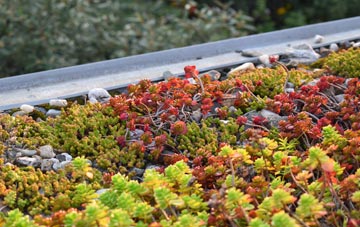 the cost of Walton On Thames green roof installation